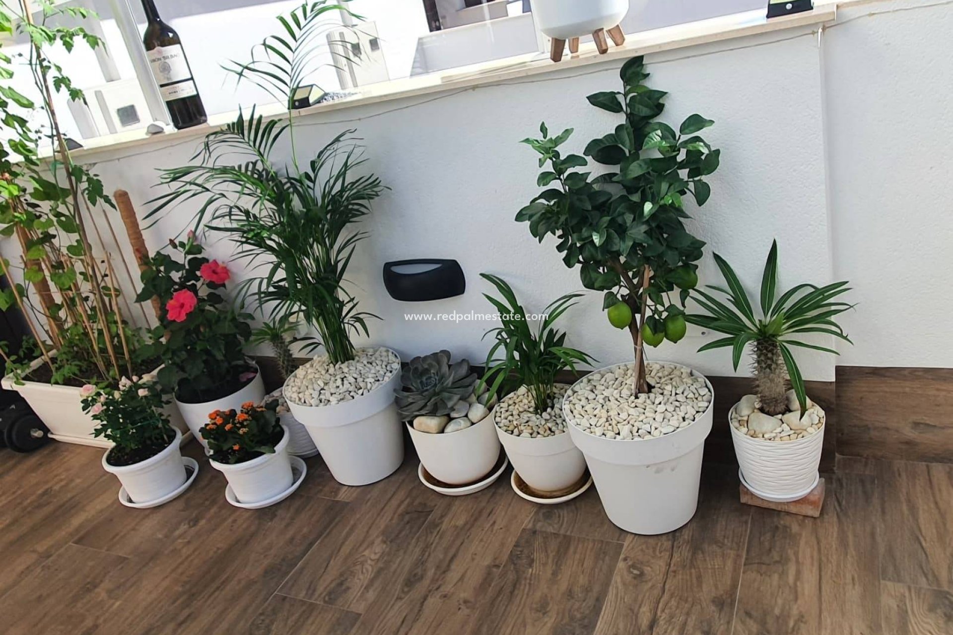 Resale - Villa -
San Pedro del Pinatar - San Pedro de Pinatar