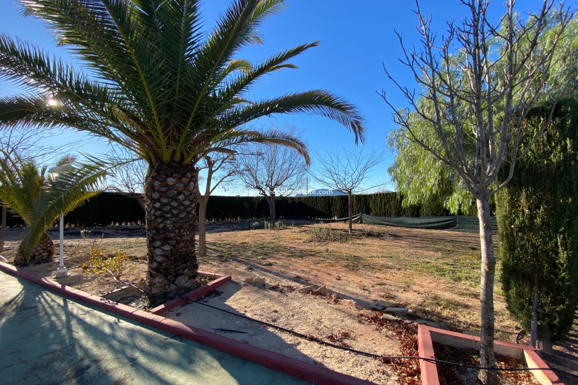 Resale - Villa -
Sax