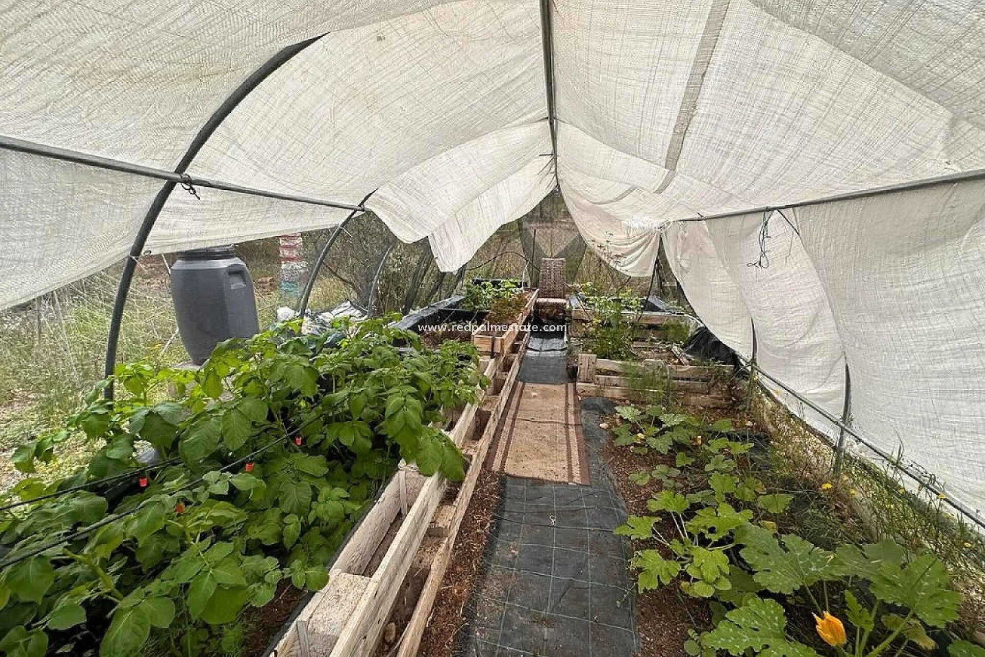 Resale - Villa -
Sax