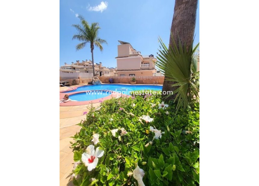 Resale - Villa -
Torrevieja - Costa Blanca