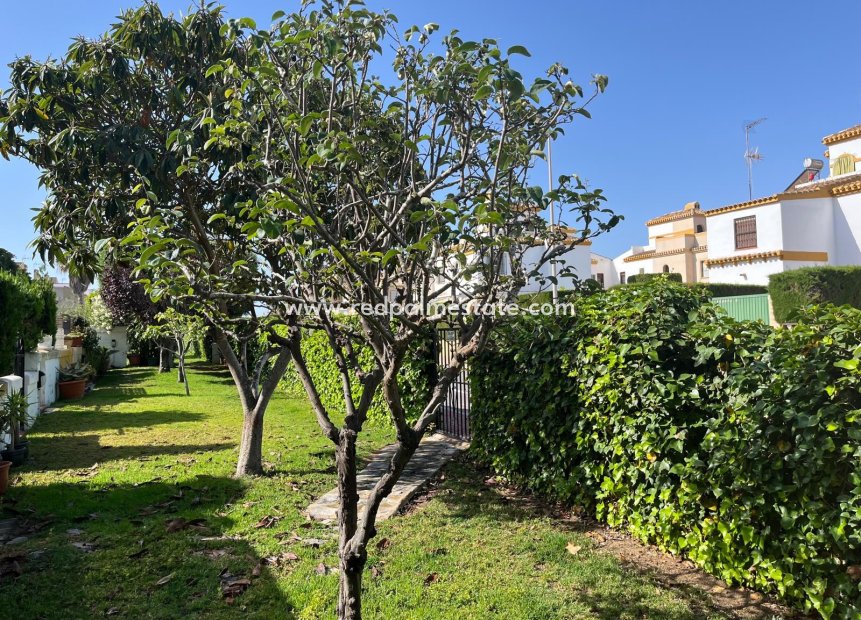 Resale - Villa -
Torrevieja - Costa Blanca