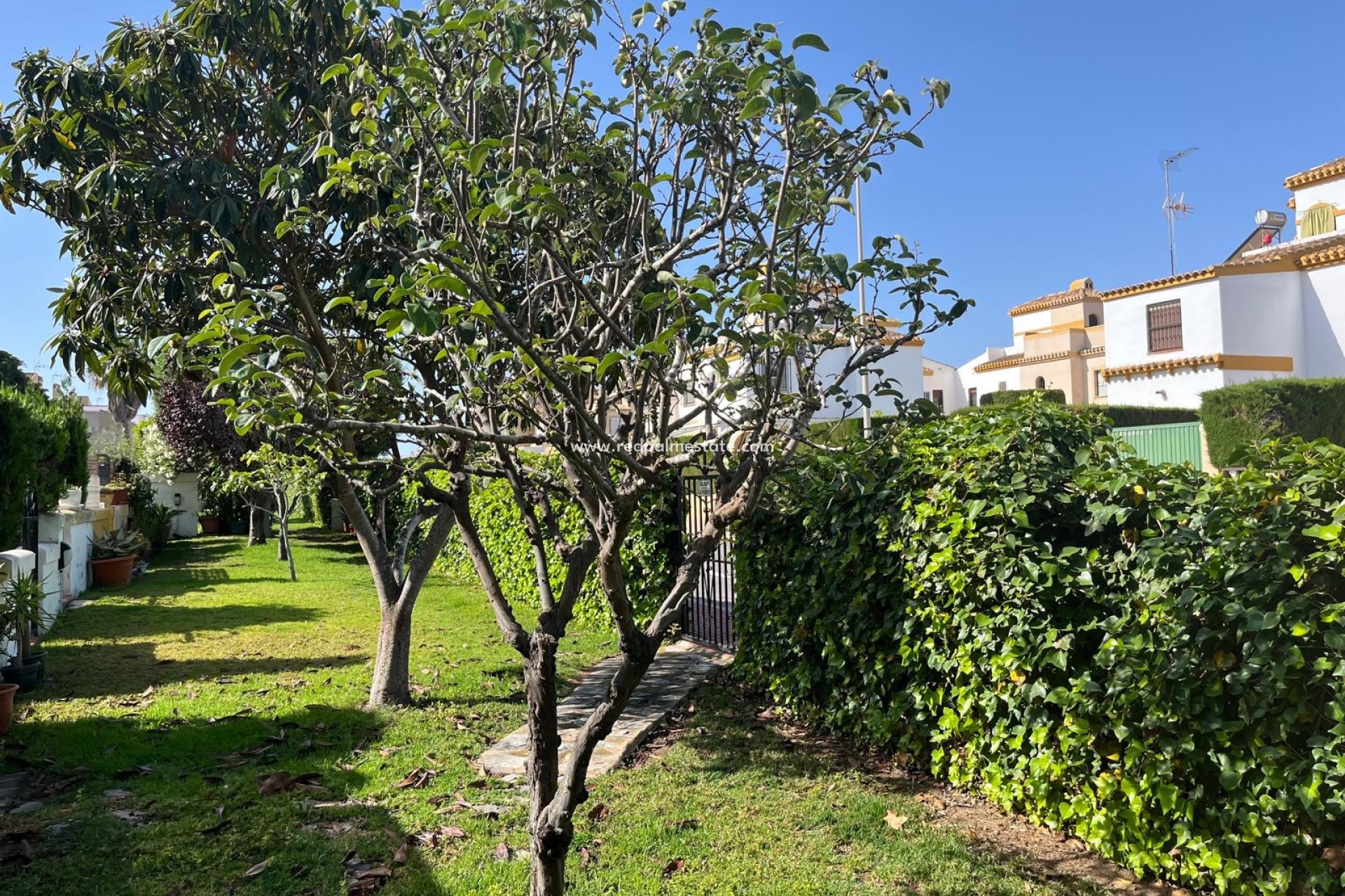 Resale - Villa -
Torrevieja - Costa Blanca