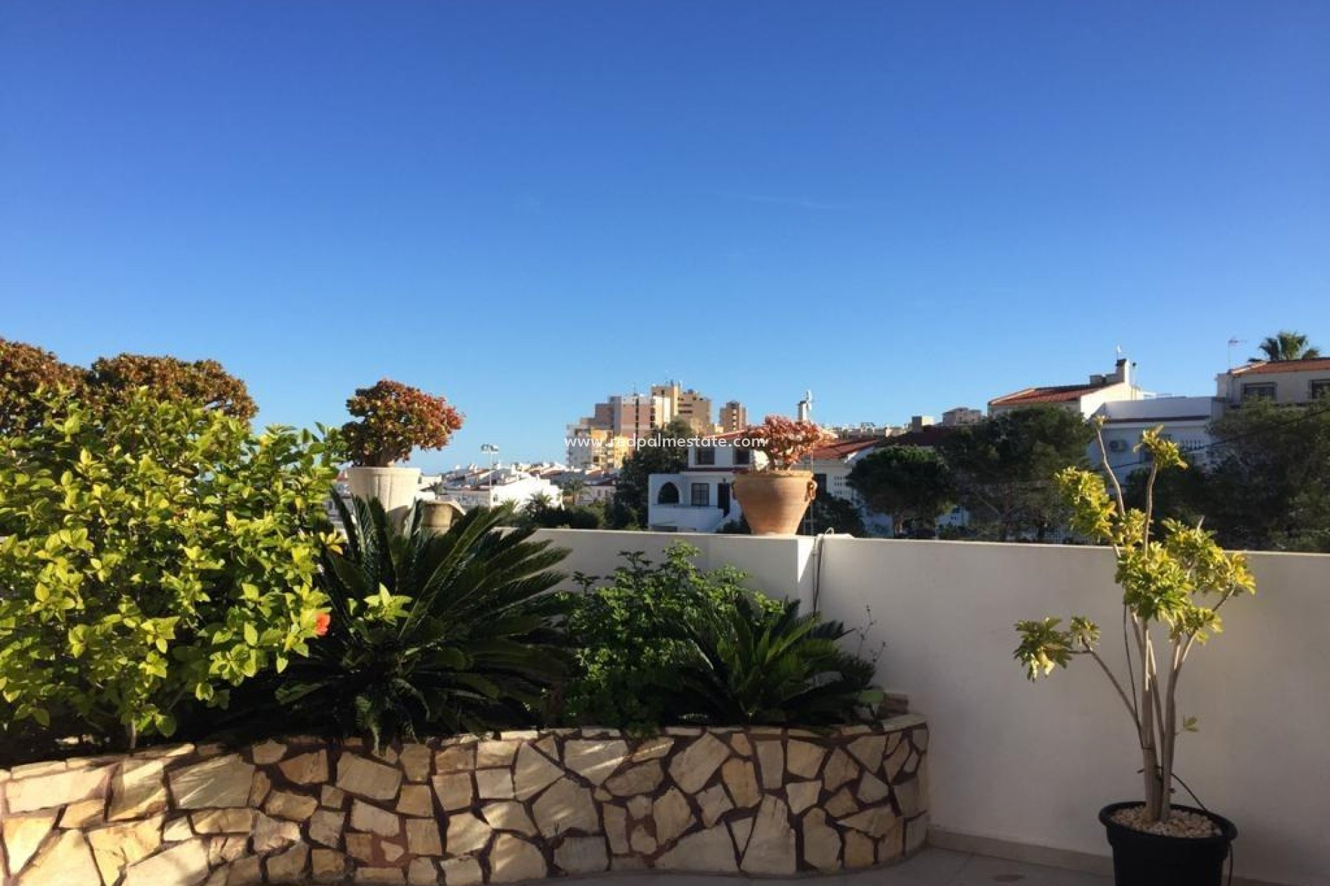 Resale - Villa -
Torrevieja - La Mata