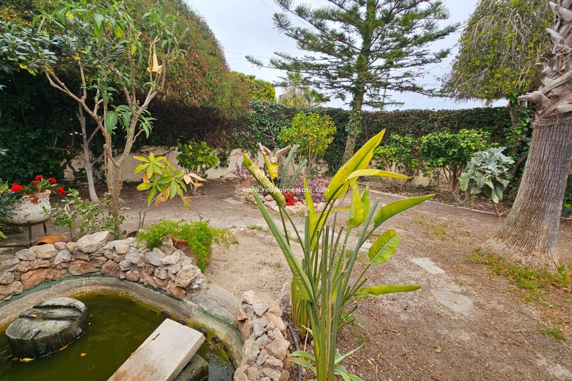 Resale - Villa -
Torrevieja - La Siesta - El Salado -  Torreta