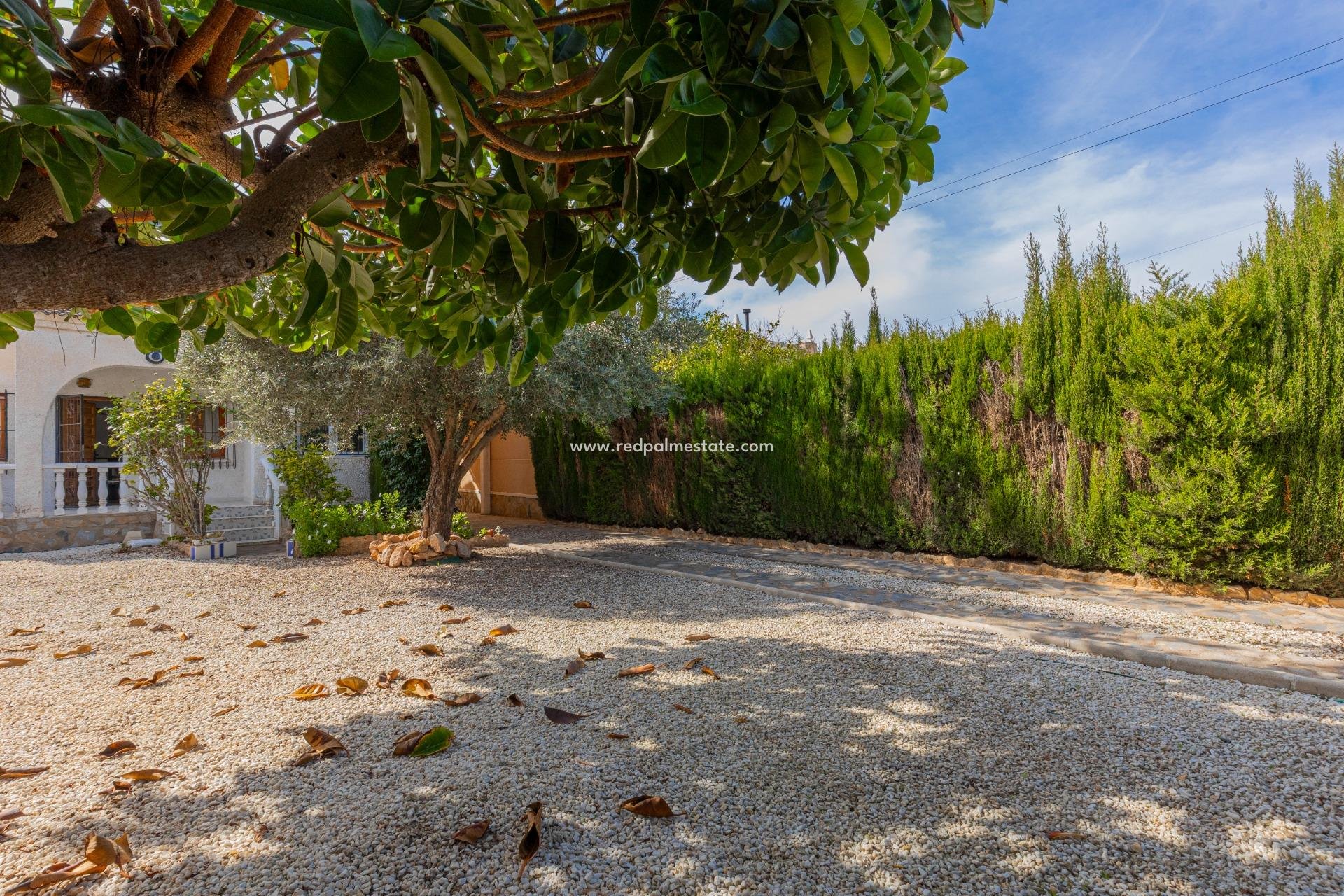 Resale - Villa -
Torrevieja - La Siesta - El Salado -  Torreta