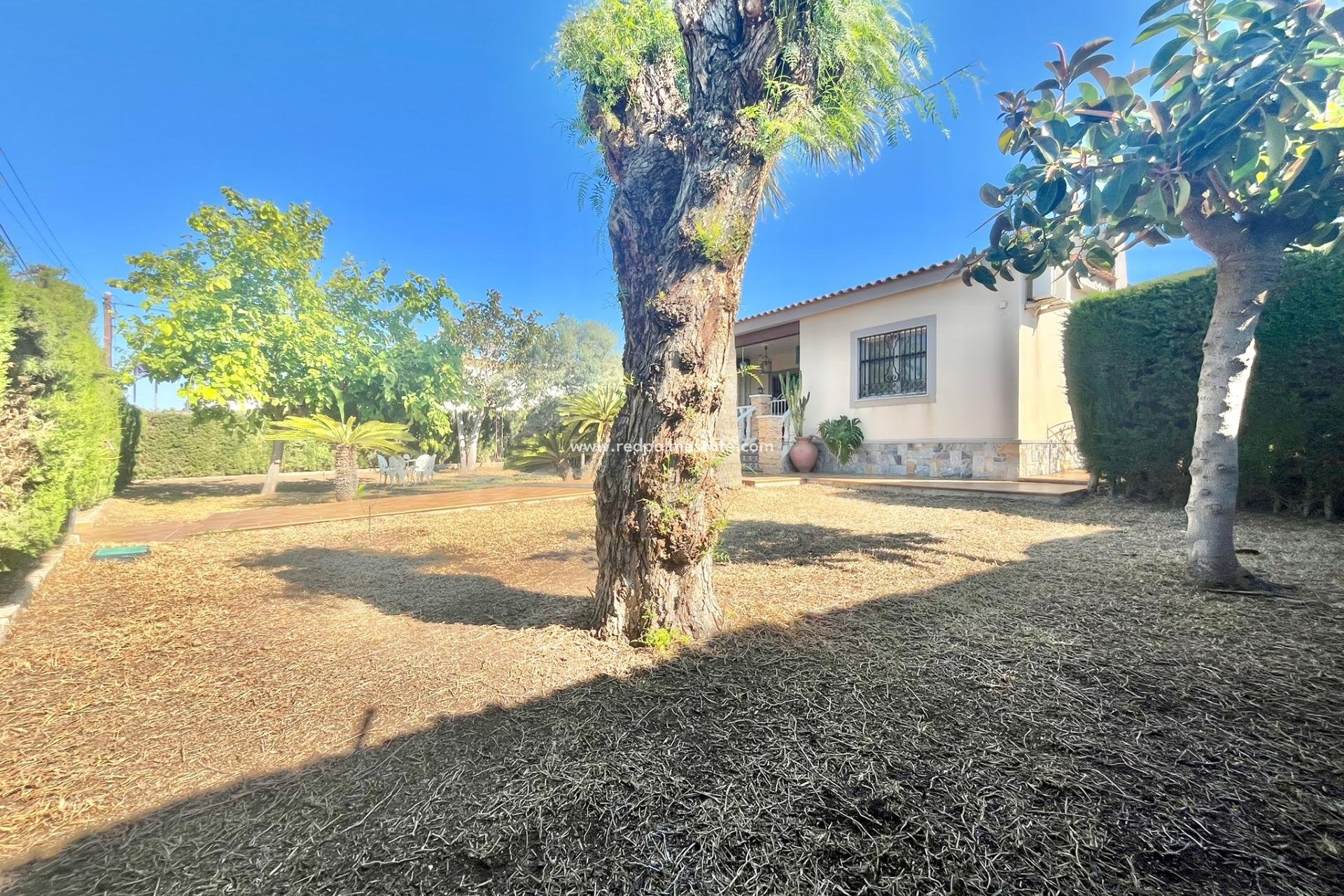 Resale - Villa -
Torrevieja - Los balcones