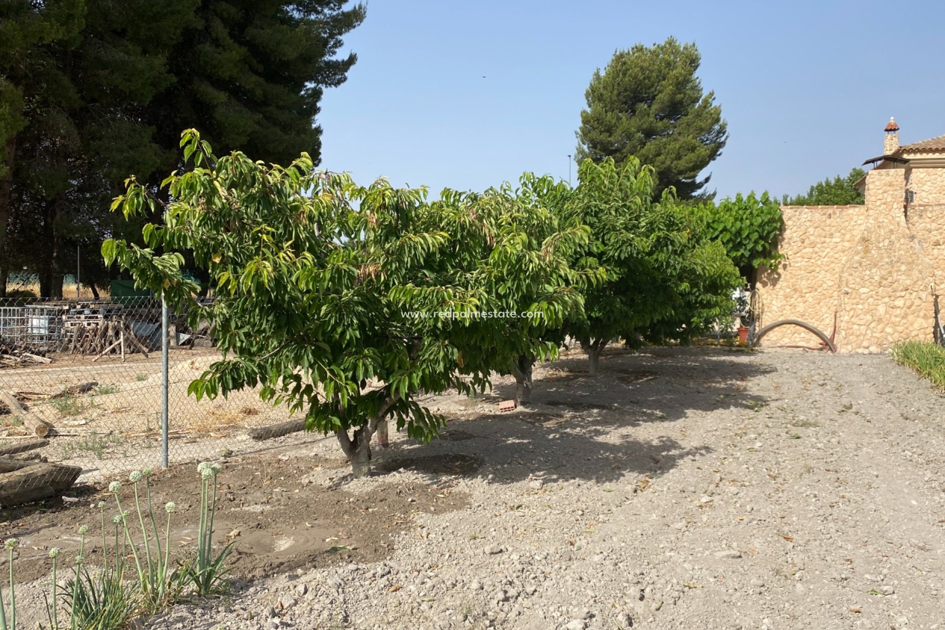 Resale - Villa -
Villena