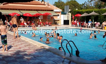 Restaurante - Reventa - Pilar de la Horadada - Pilar de la Horadada