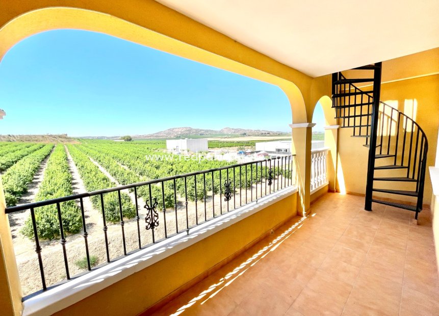 Reventa - Apartamento -
Algorfa - Inland
