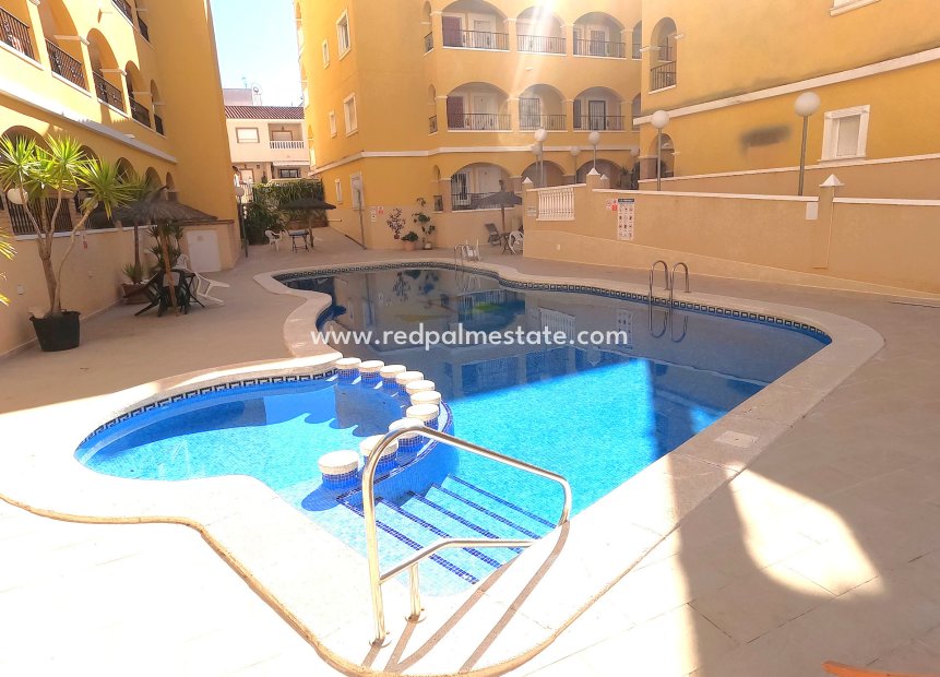 Reventa - Apartamento -
Algorfa - Inland
