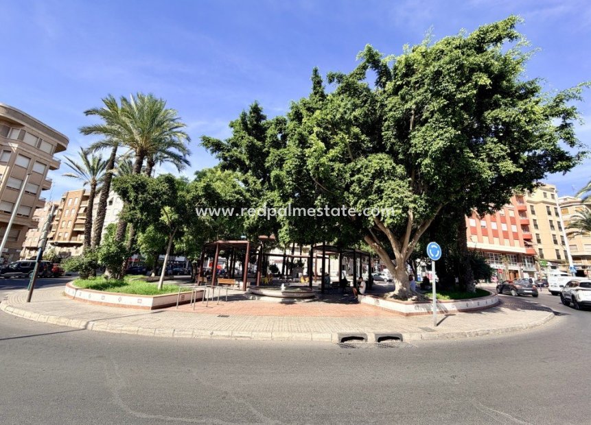 Reventa - Apartamento -
Elche - Costa Blanca