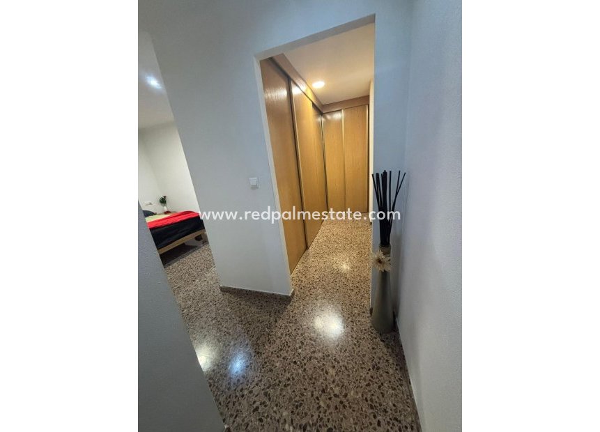 Reventa - Apartamento -
Elche - Plaza Crevillente-Juzgados