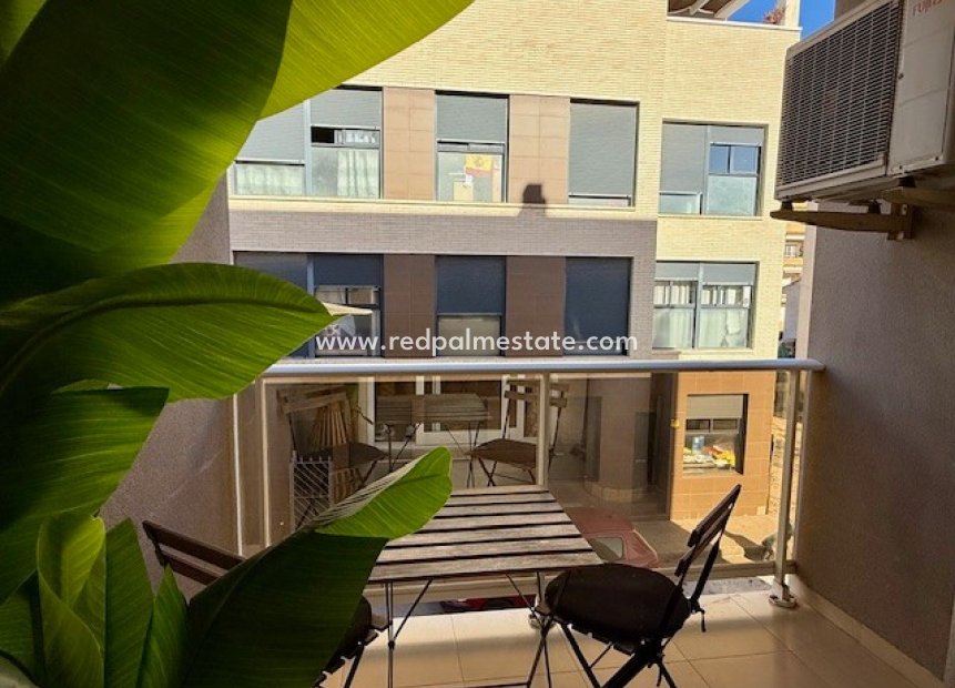 Reventa - Apartamento -
Formentera del Segura - Formentera De Segura