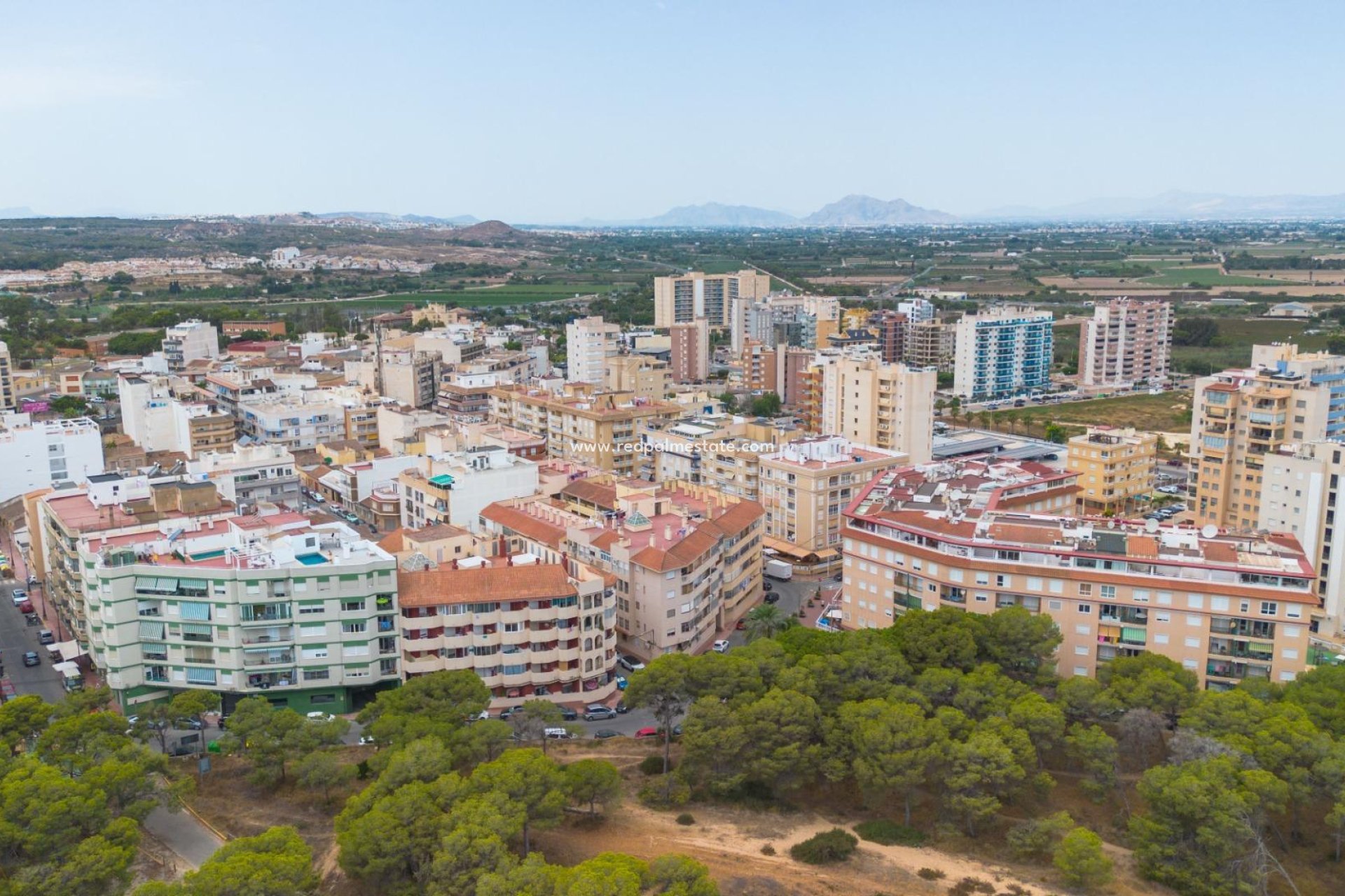 Reventa - Apartamento -
Guardamar del Segura - Guardamar