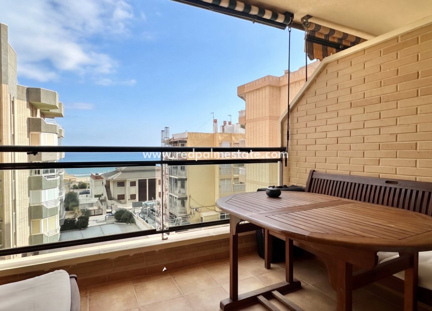 Reventa - Apartamento -
Guardamar del Segura - Guardamar
