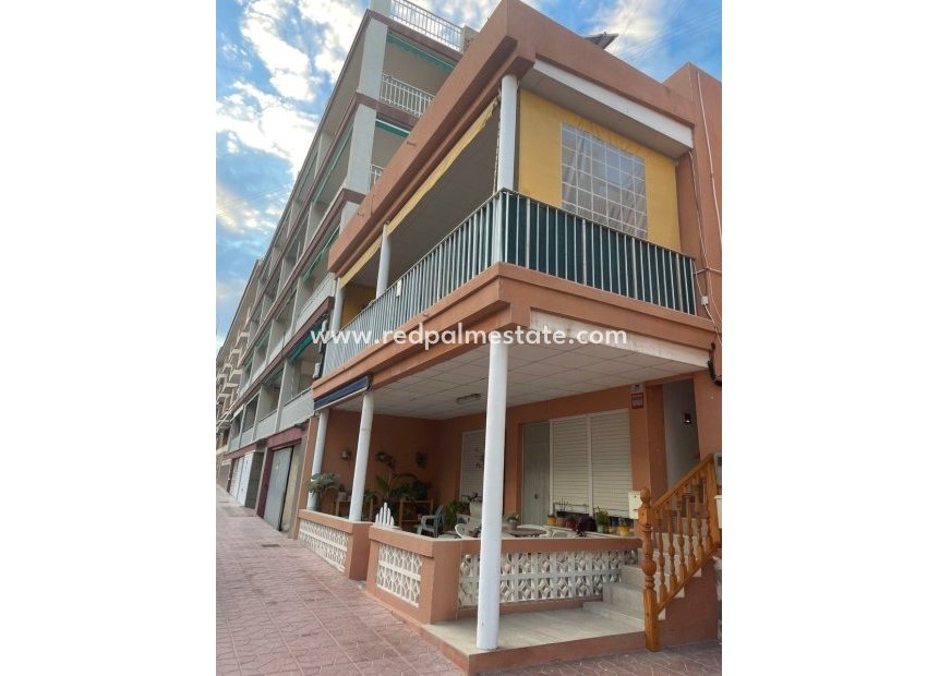 Reventa - Apartamento -
Guardamar del Segura - Guardamar