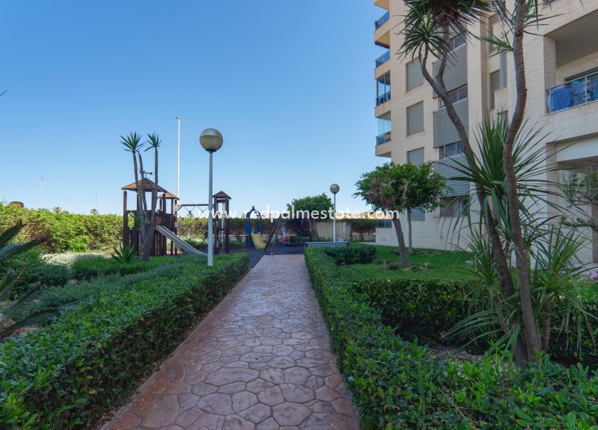 Reventa - Apartamento -
Guardamar del Segura - Guardamar
