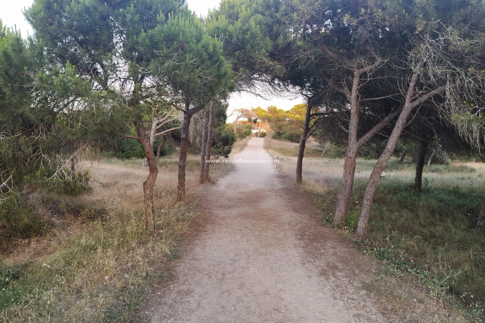 Reventa - Apartamento -
Guardamar del Segura - Pinomar