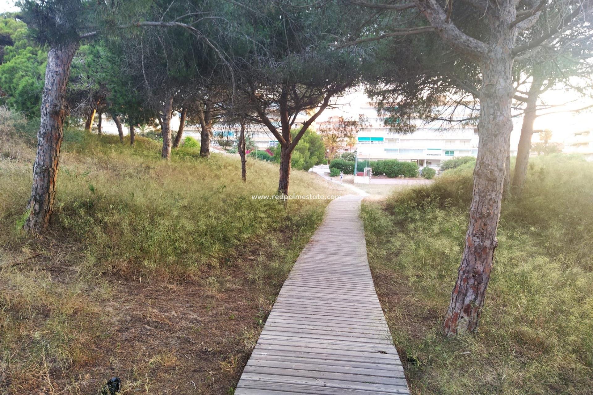 Reventa - Apartamento -
Guardamar del Segura - Pinomar