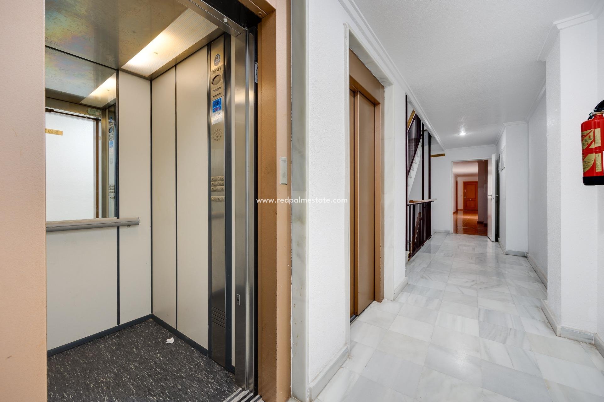 Reventa - Apartamento -
Guardamar del Segura - Pueblo