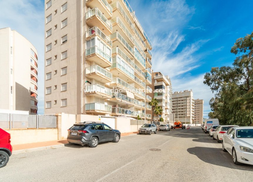 Reventa - Apartamento -
Guardamar del Segura - Puerto Deportivo