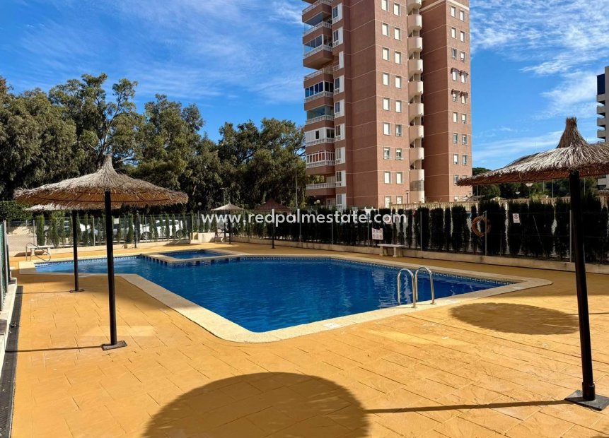 Reventa - Apartamento -
Guardamar del Segura - Puerto