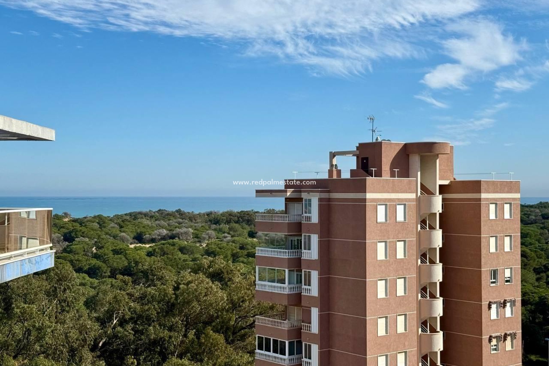 Reventa - Apartamento -
Guardamar del Segura - Puerto