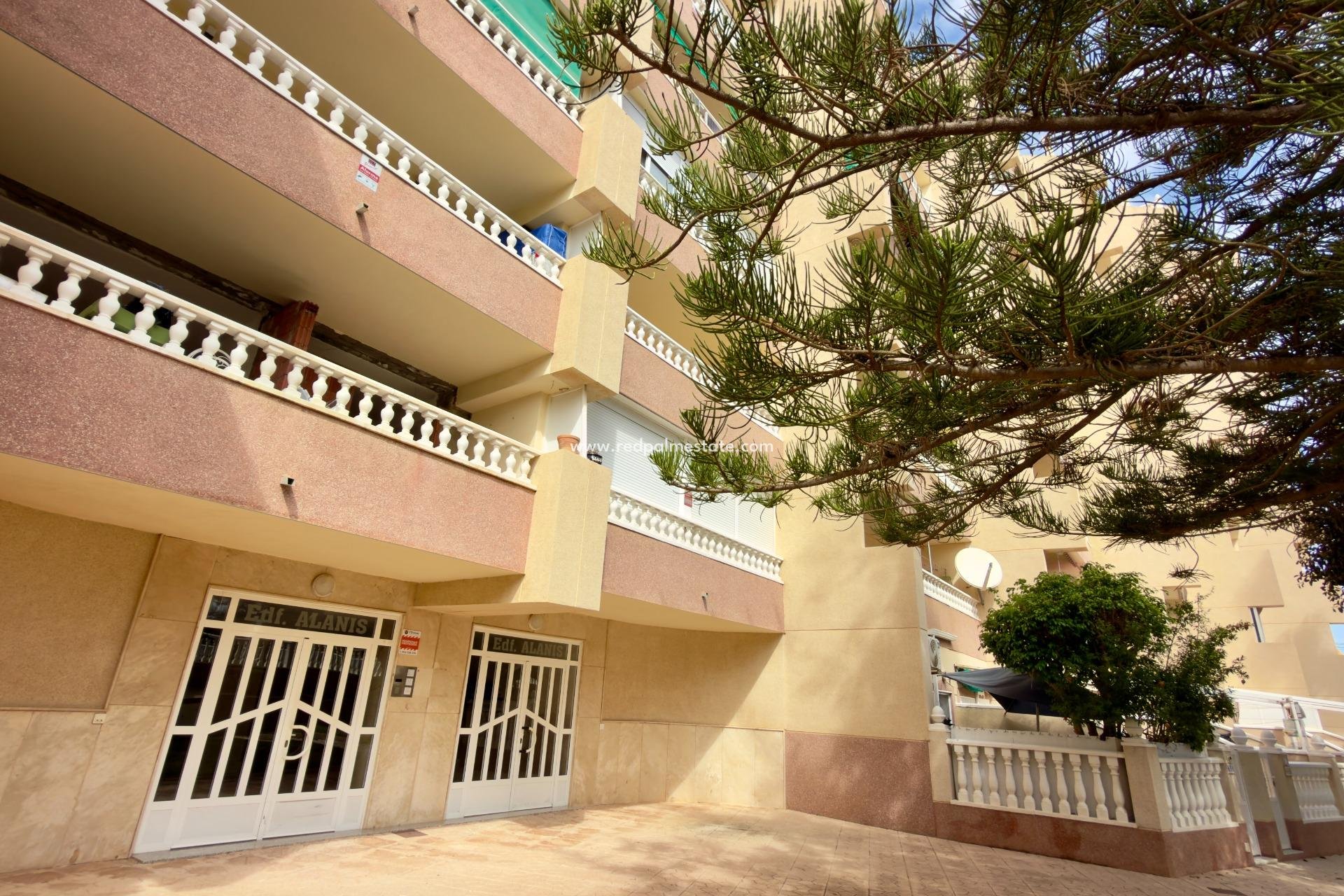 Reventa - Apartamento -
Guardamar del Segura - Urbanizaciones