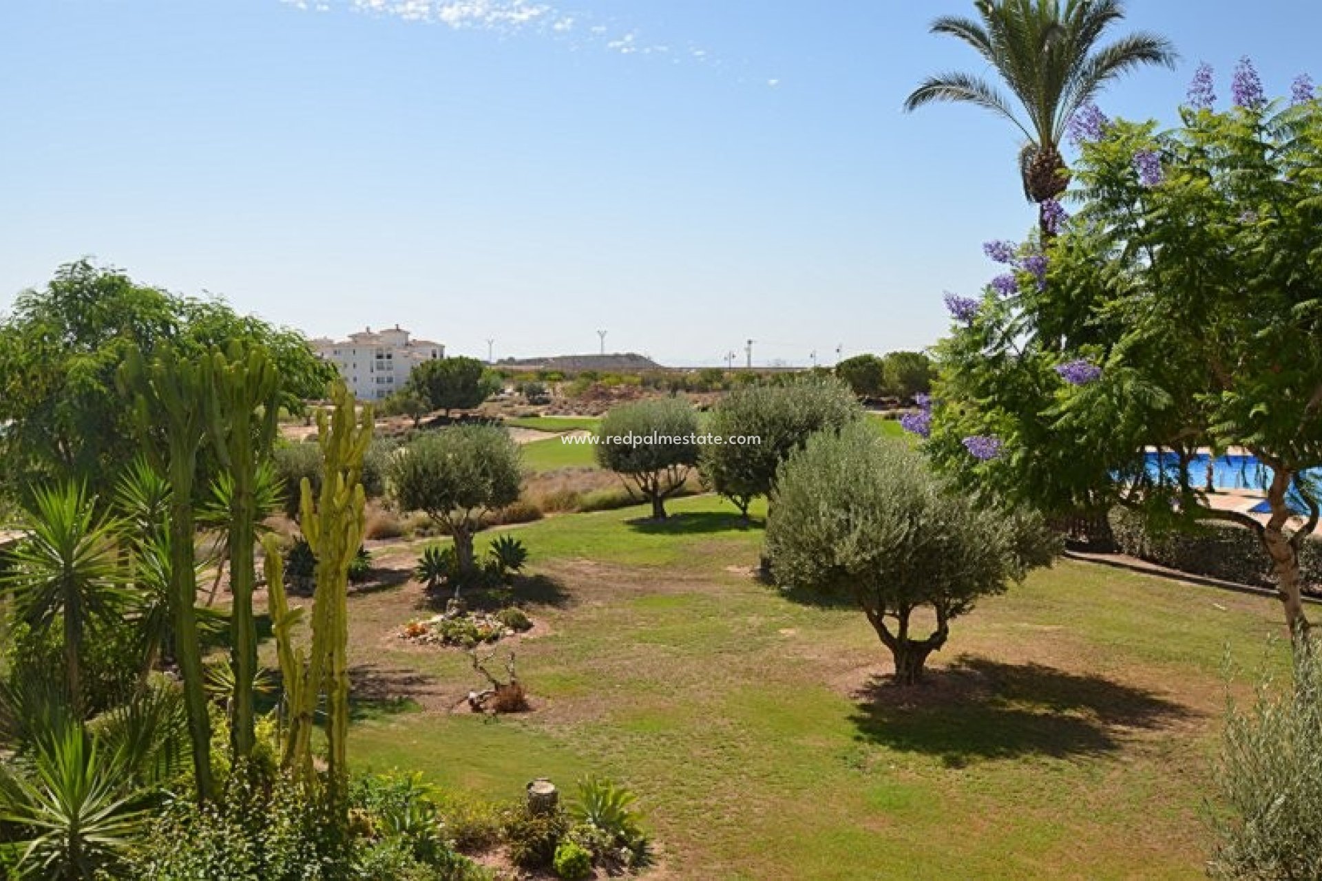 Reventa - Apartamento -
Hacienda Riquelme Golf Resort - Inland