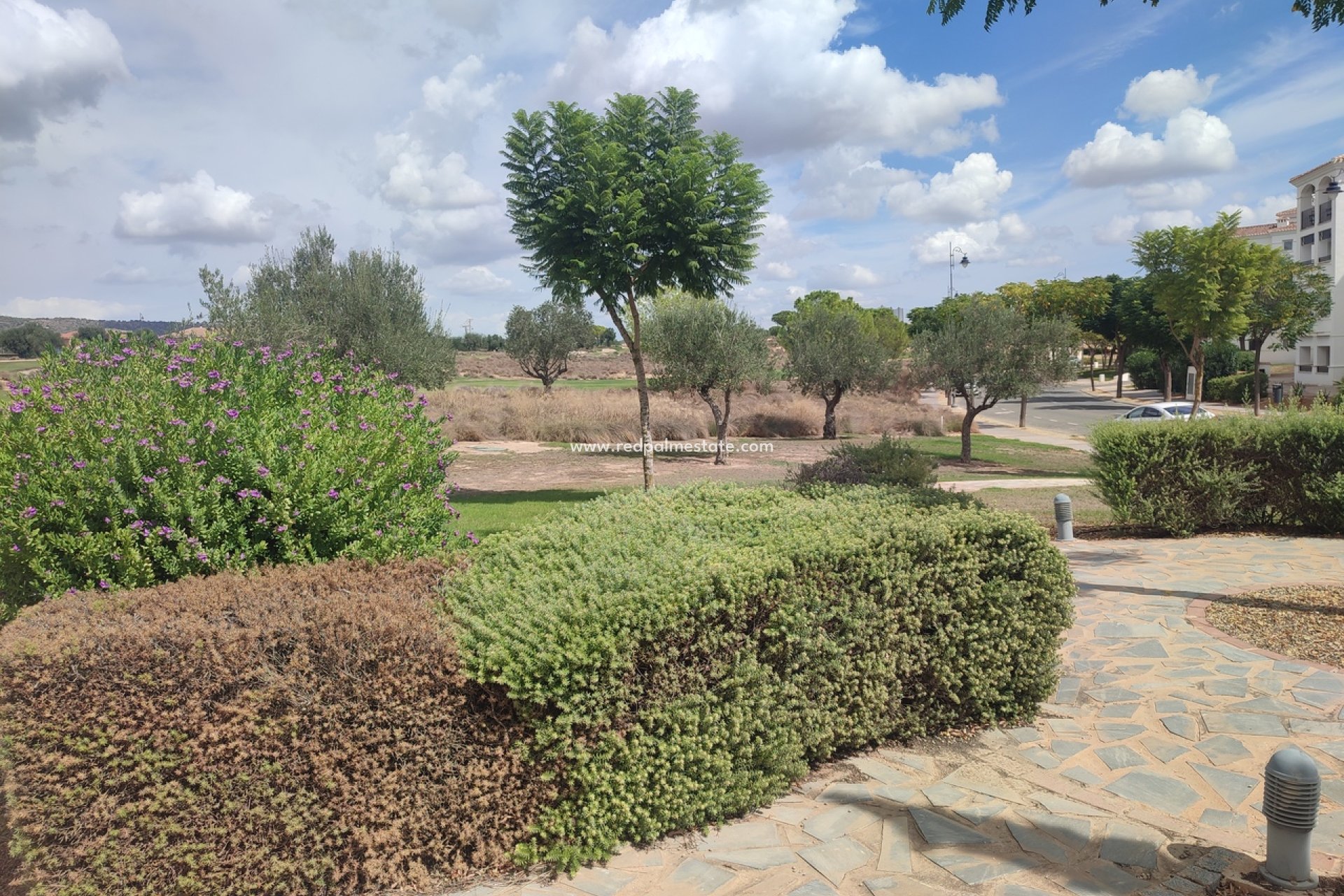 Reventa - Apartamento -
Hacienda Riquelme Golf Resort - Inland