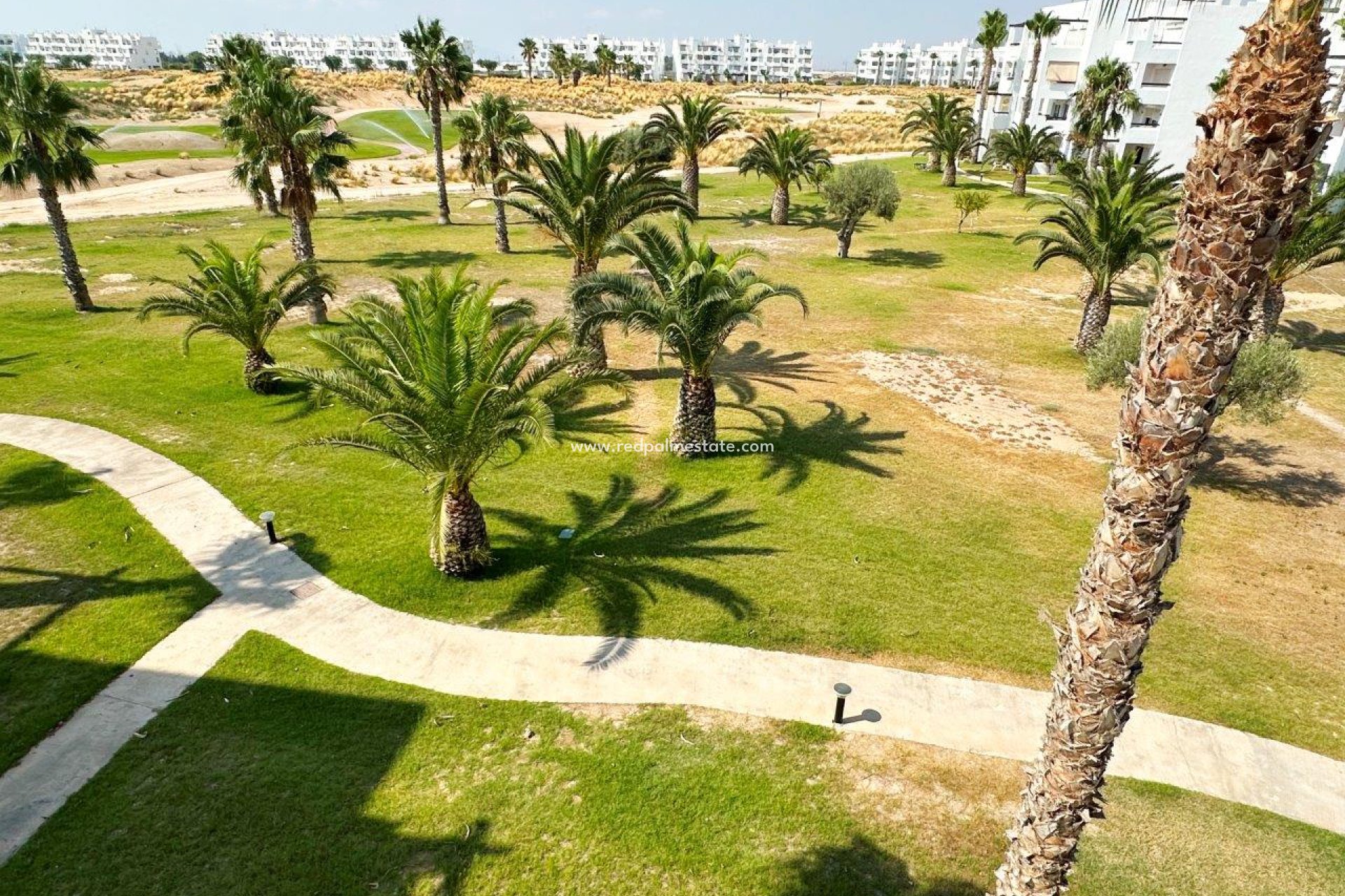 Reventa - Apartamento -
La Torre Golf Resort - Inland