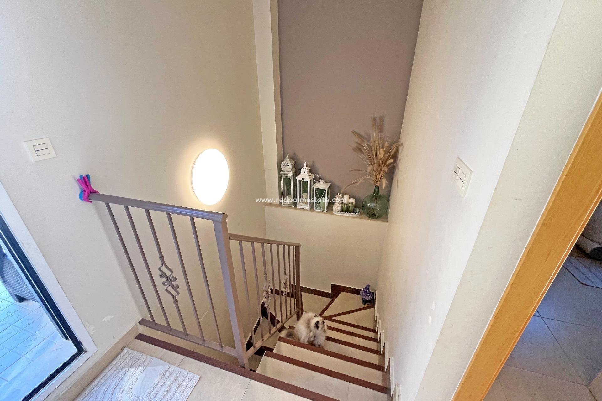 Reventa - Apartamento -
Novelda - Barrio San Roque