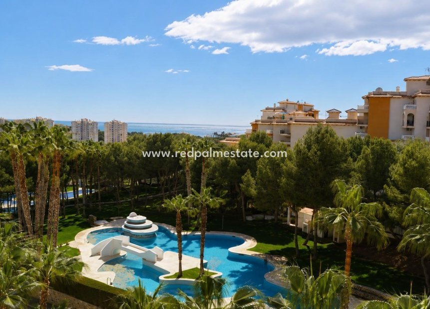 Reventa - Apartamento -
Orihuela Costa - Altos de Campoamor