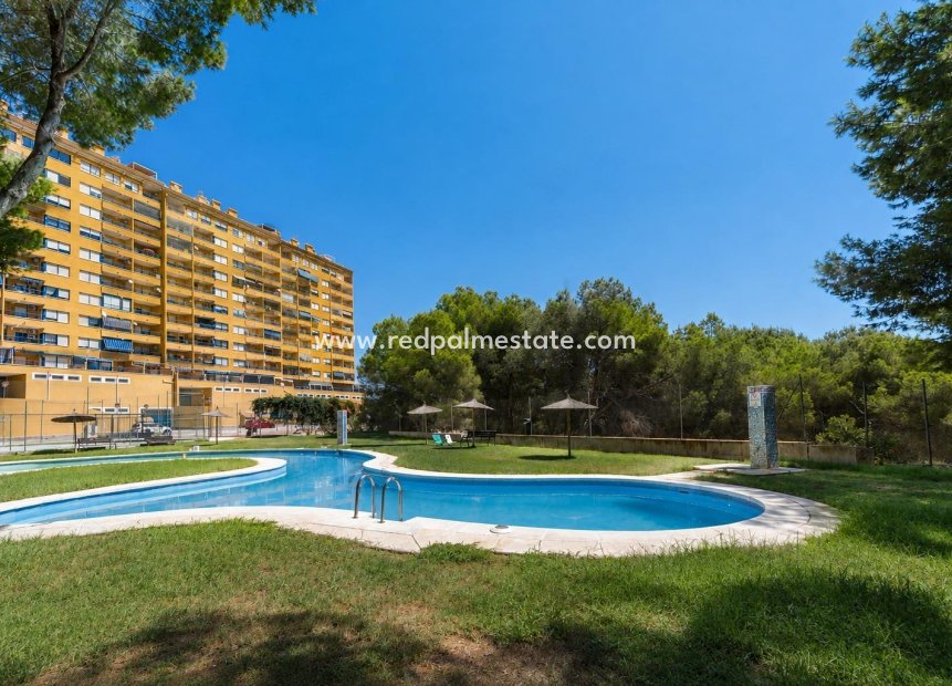 Reventa - Apartamento -
Orihuela Costa - Altos de Campoamor