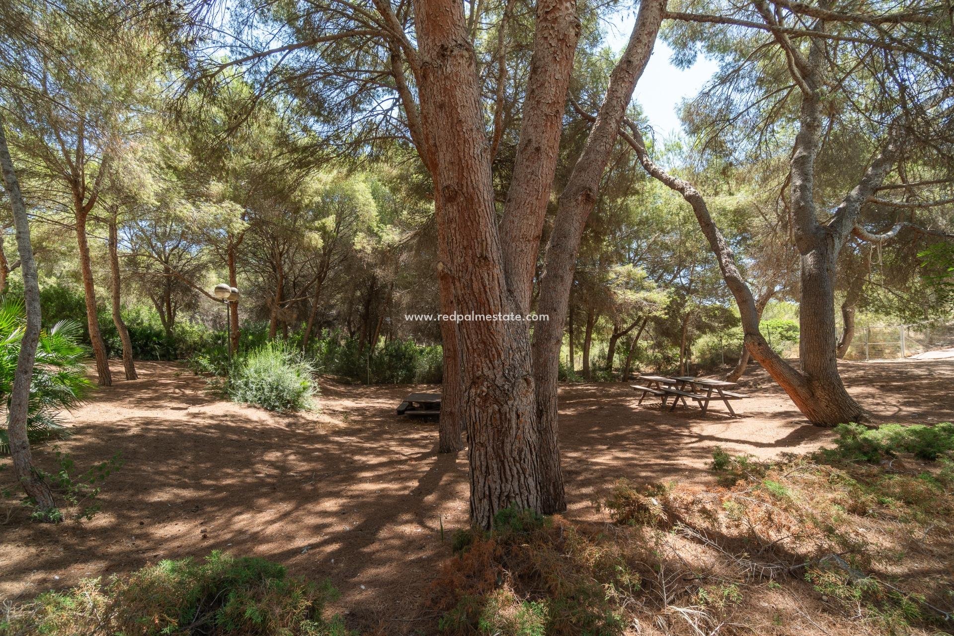 Reventa - Apartamento -
Orihuela Costa - Altos de Campoamor