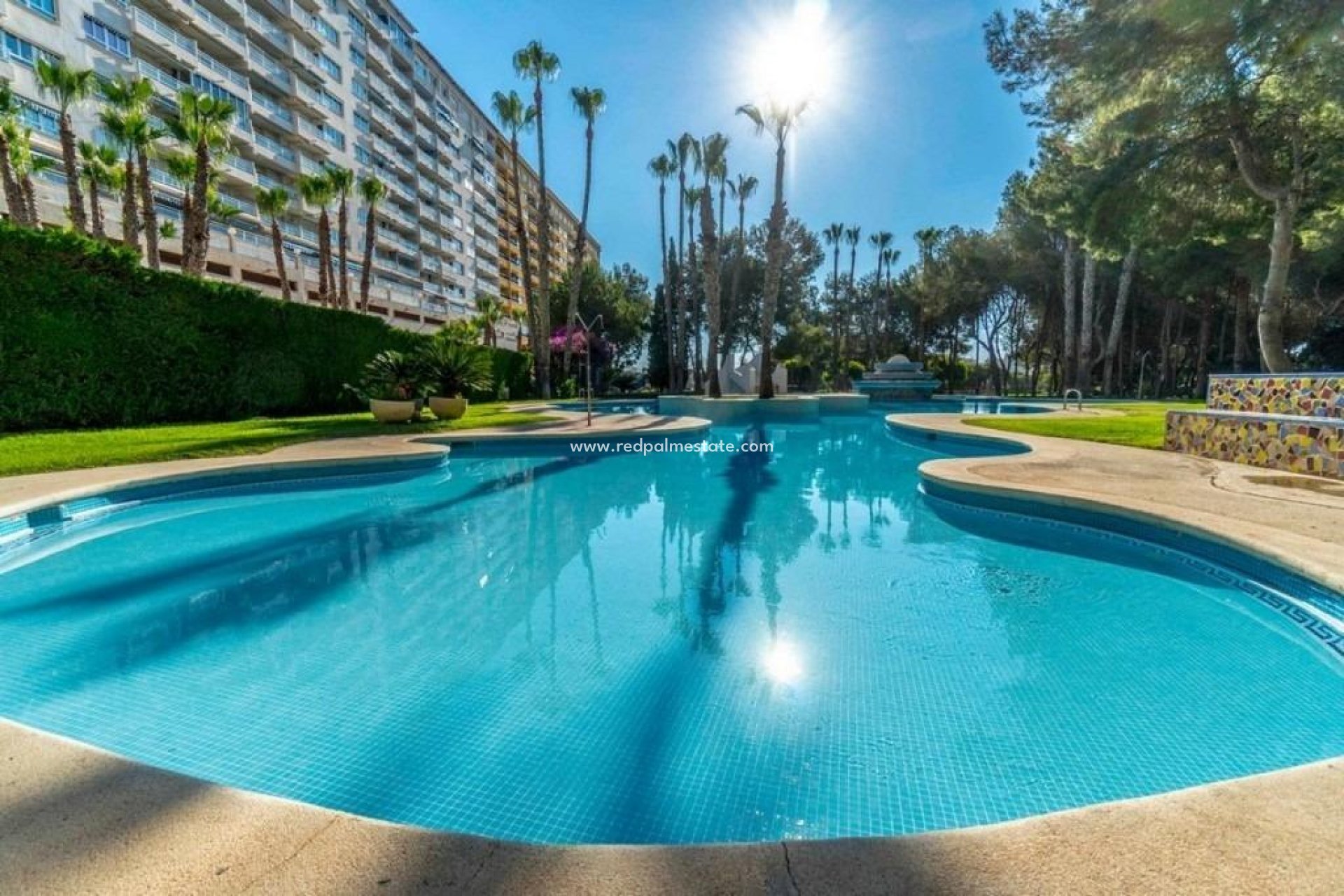 Reventa - Apartamento -
Orihuela Costa - Altos de Campoamor