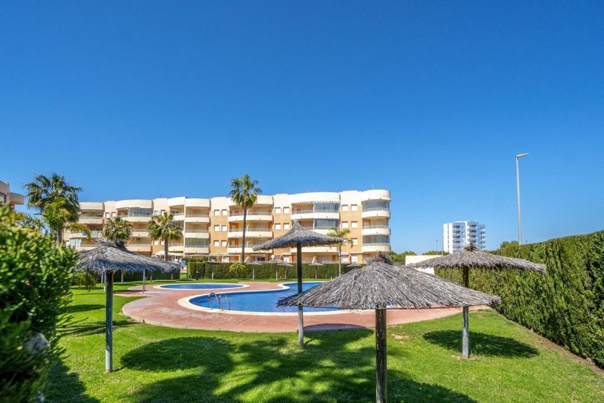 Reventa - Apartamento -
Orihuela Costa - Campoamor