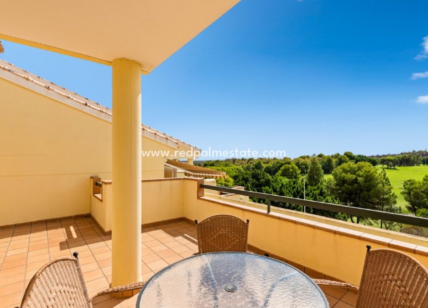 Reventa - Apartamento -
Orihuela Costa - Campoamor