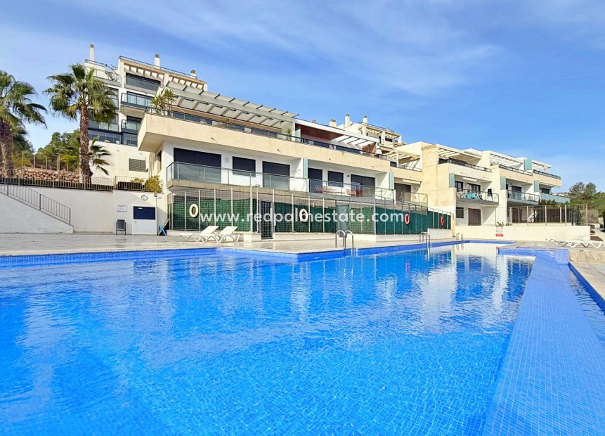 Reventa - Apartamento -
Orihuela Costa - Campoamor