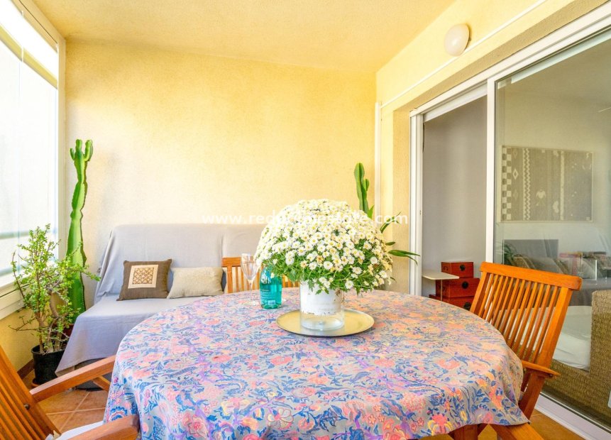 Reventa - Apartamento -
Orihuela Costa - Campoamor
