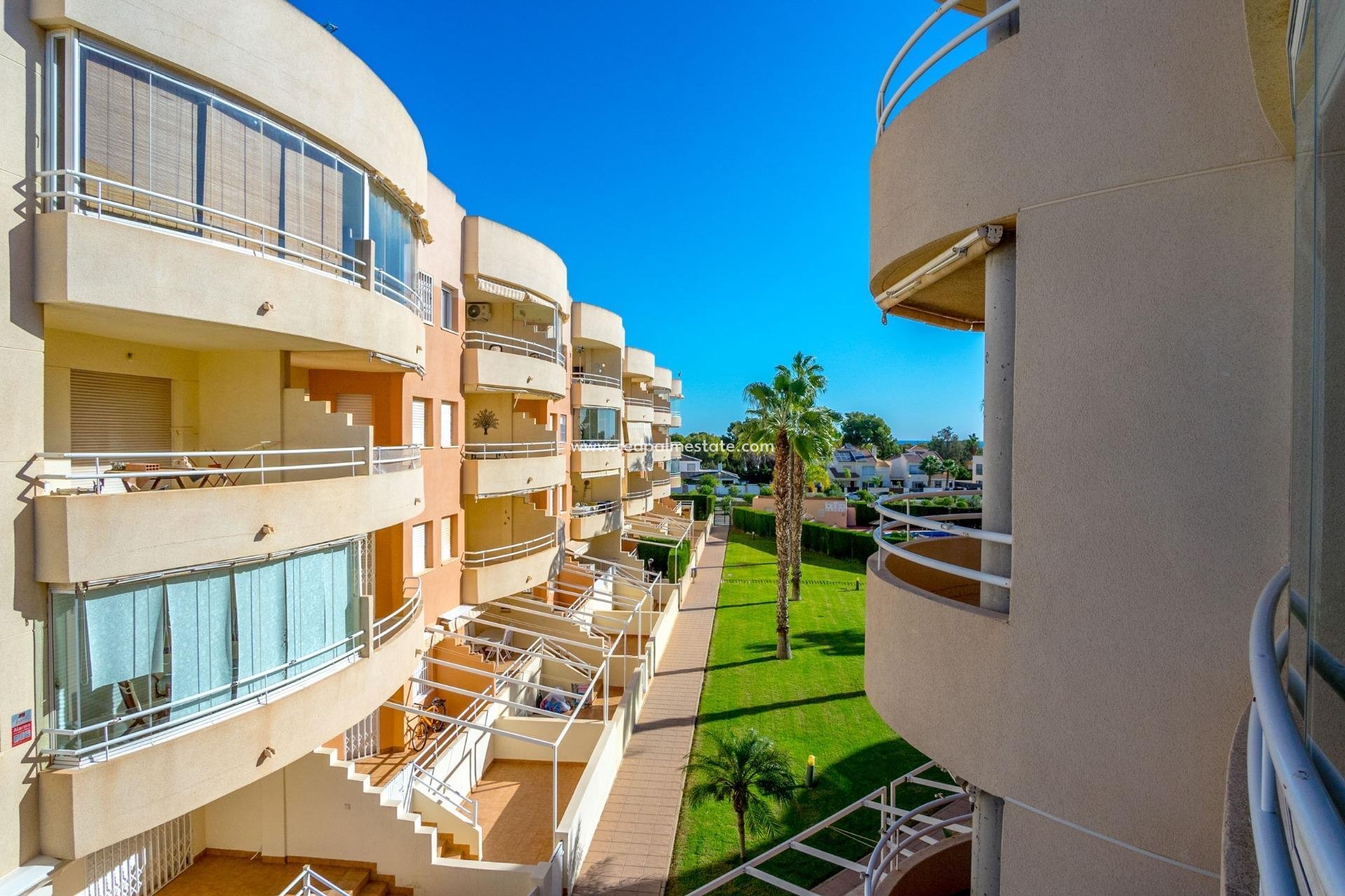 Reventa - Apartamento -
Orihuela Costa - Campoamor