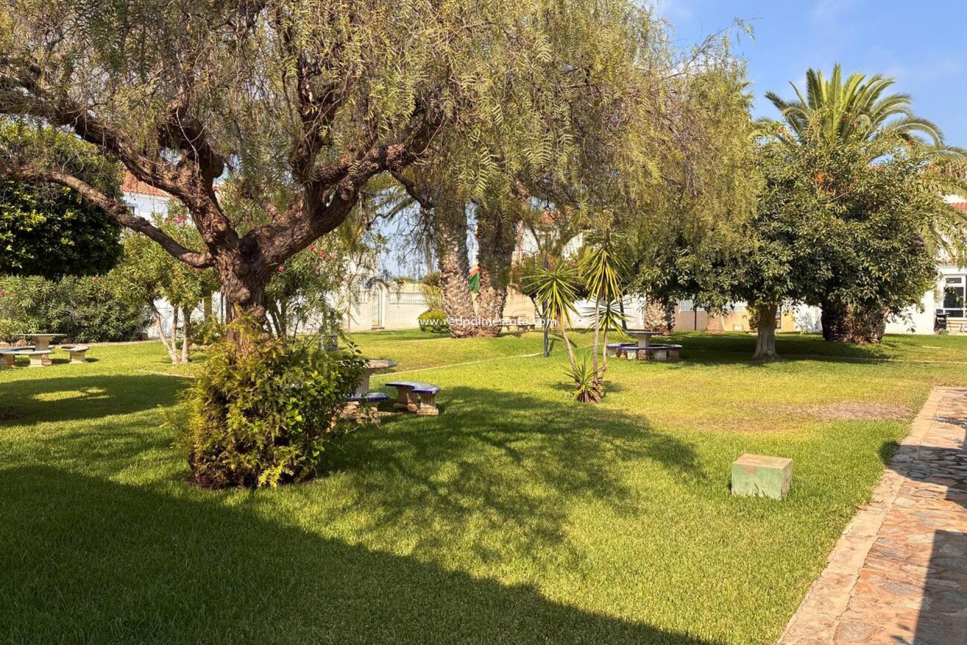 Reventa - Apartamento -
Orihuela Costa - Costa Blanca
