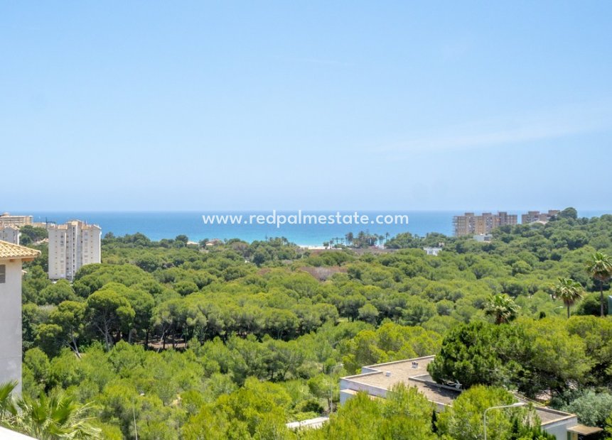 Reventa - Apartamento -
Orihuela Costa - Dehesa de campoamor