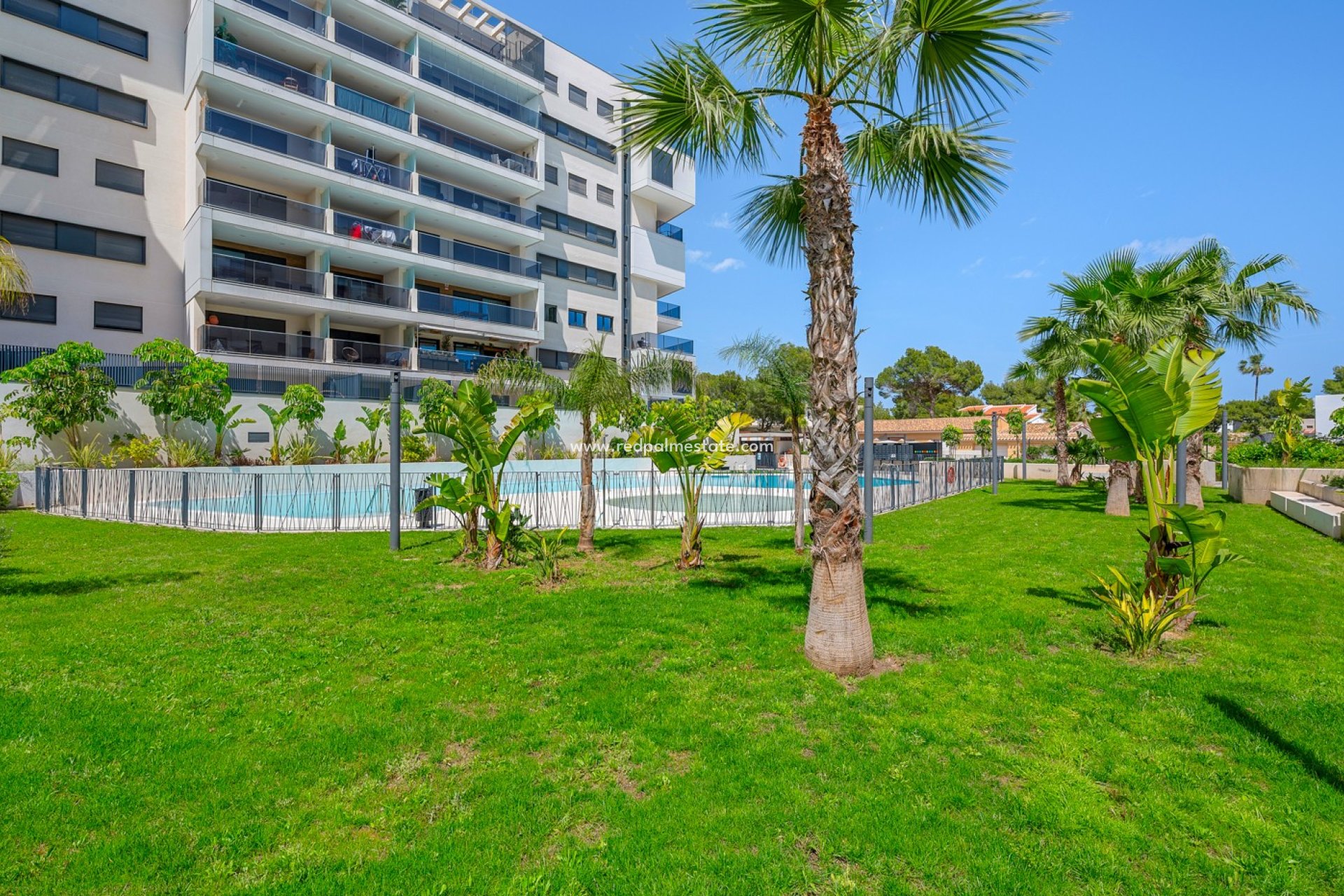 Reventa - Apartamento -
Orihuela Costa - Dehesa de campoamor