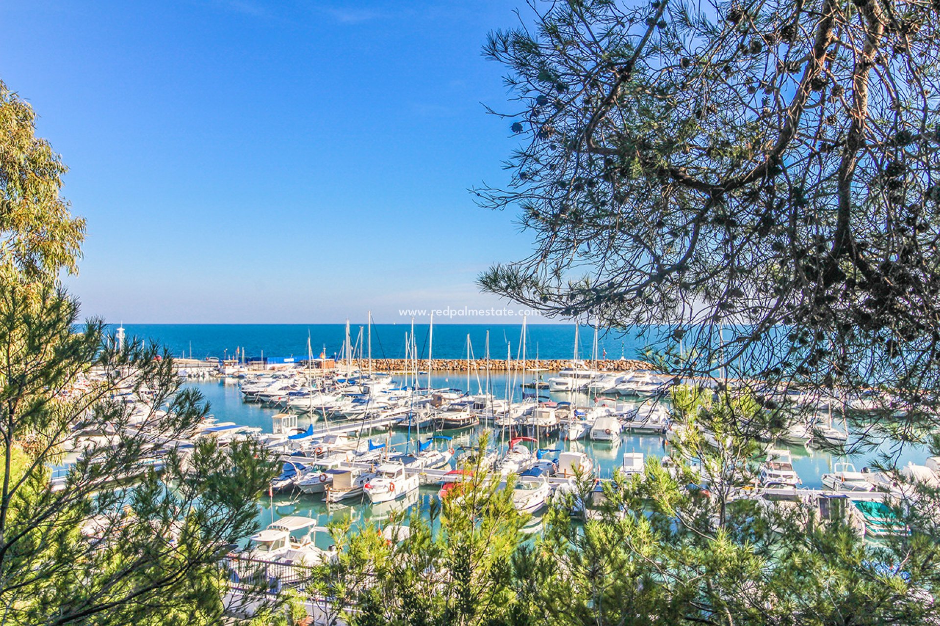Reventa - Apartamento -
Orihuela Costa - Dehesa de Campoamor