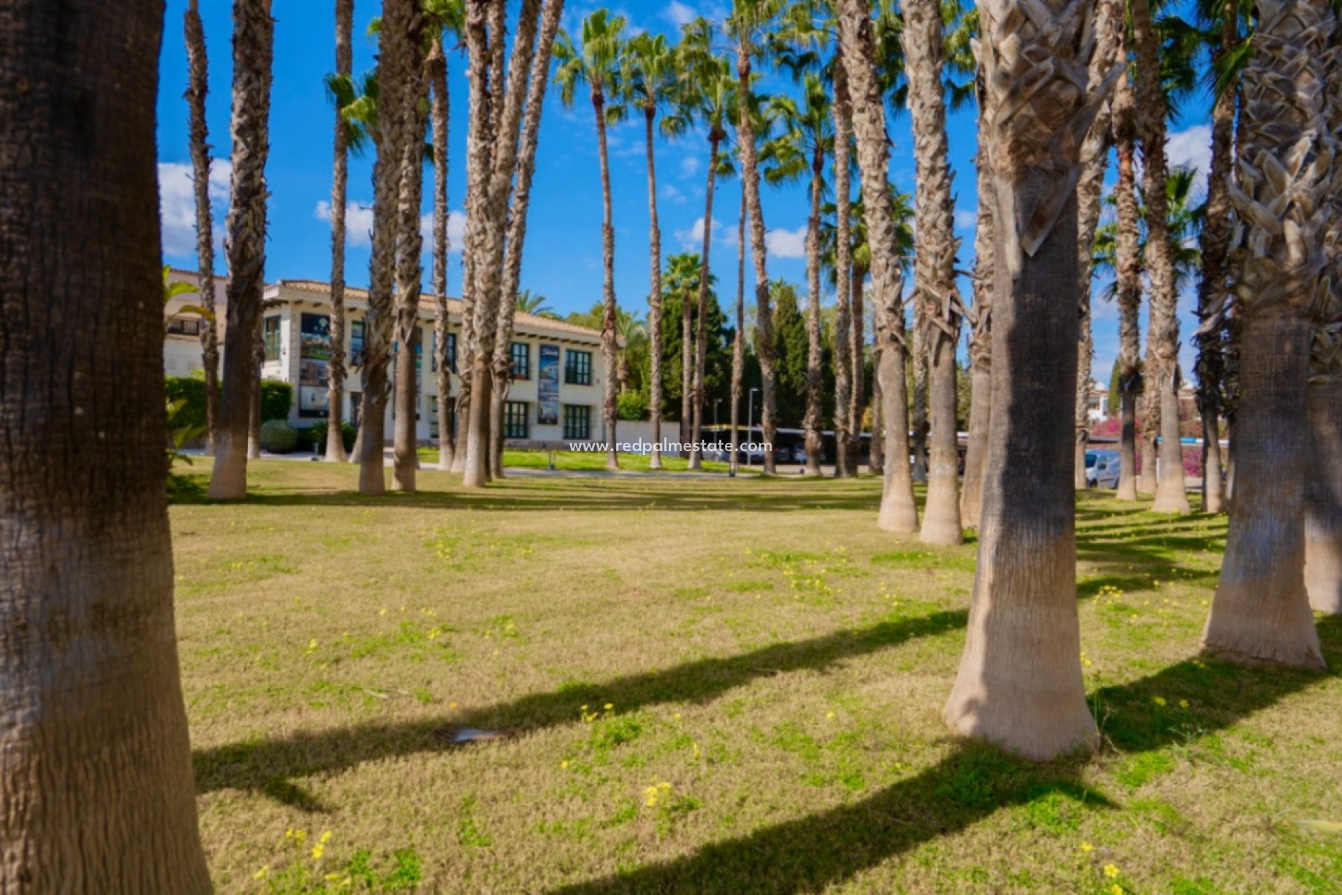 Reventa - Apartamento -
Orihuela Costa - Inland