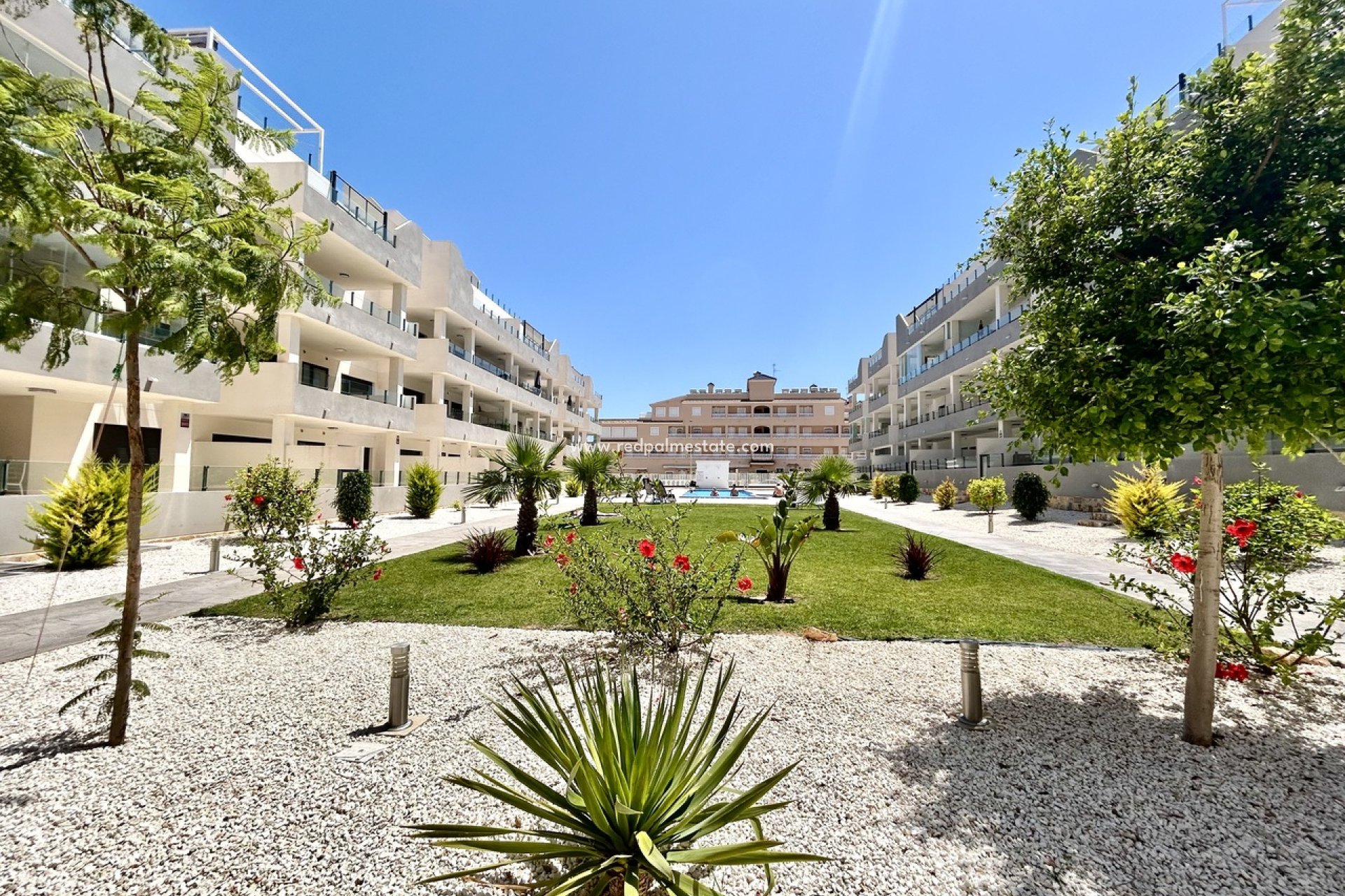 Reventa - Apartamento -
Orihuela Costa - Inland