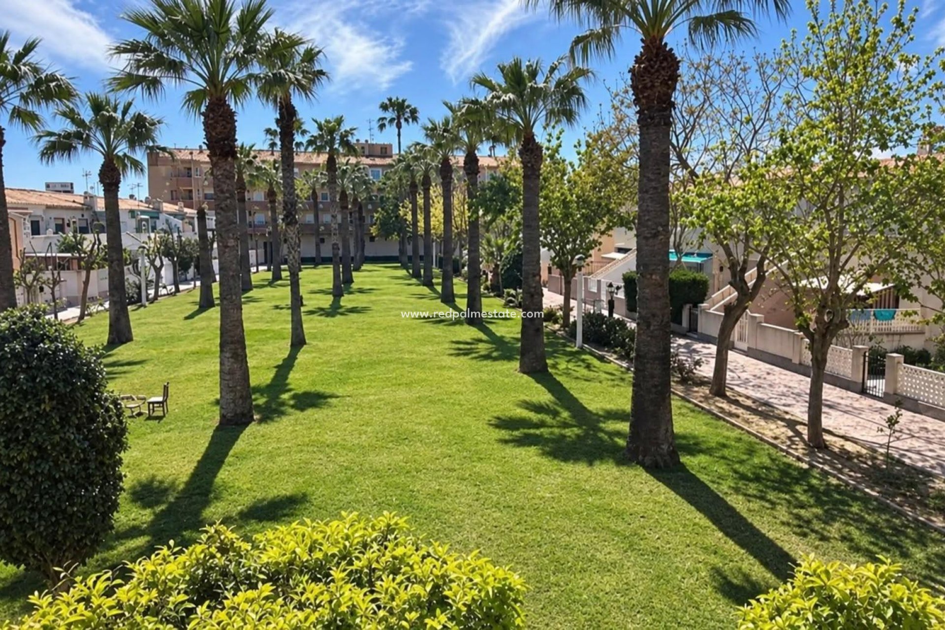 Reventa - Apartamento -
Orihuela Costa - La Regia