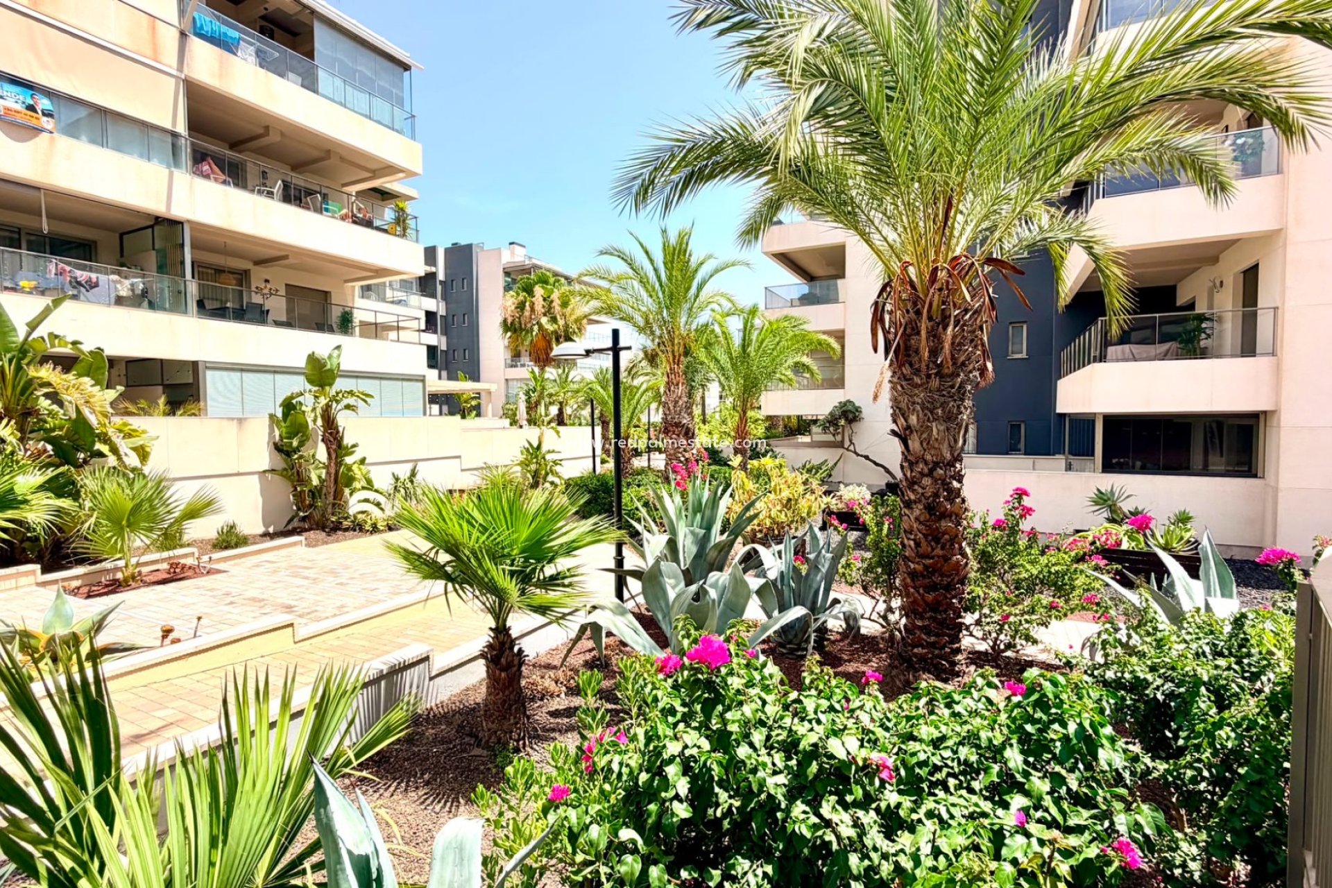 Reventa - Apartamento -
Orihuela Costa - La Zenia