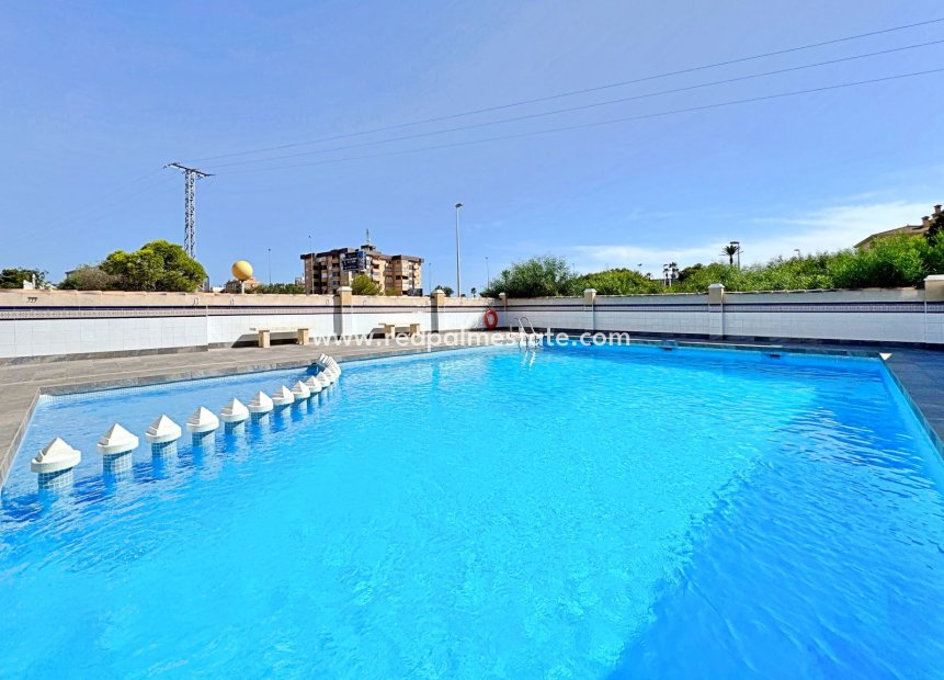 Reventa - Apartamento -
Orihuela Costa - La Zenia